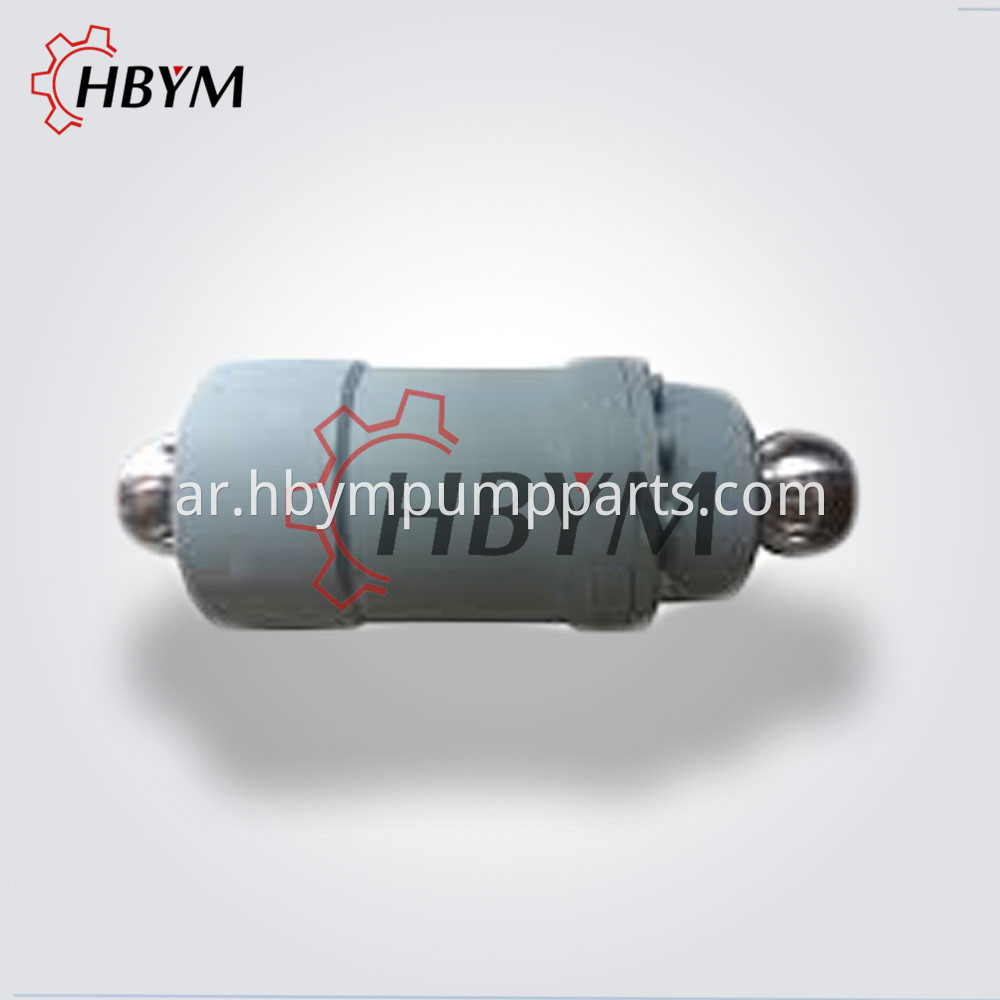 Pm Q80 Plunger Cylinder 3